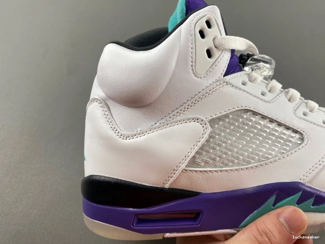 Rep LUCY (2013) Grape 5 Jordan Retro 136027-108 Air 0629